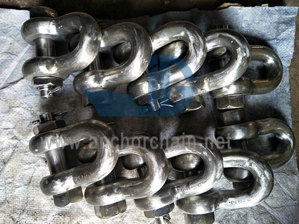 УС Сецурити Дее Схацклес Г2150